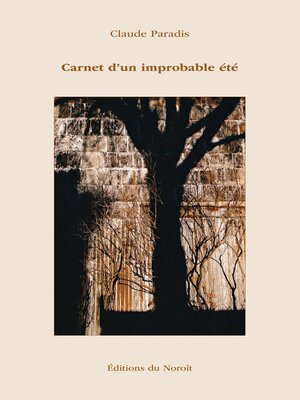 cover image of Carnet d'un improbable été